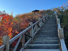 -大岭沟猕猴桃谷风景区