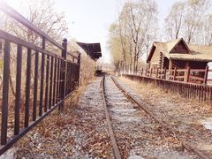 -西青郊野公园