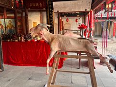 -前童古镇