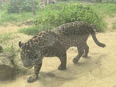 -杭州野生动物世界
