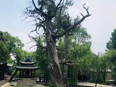 -晋祠公园