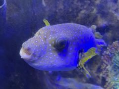 -太平洋海底世界