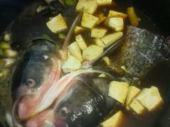 -姥家大锅台水库渔家