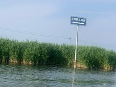 -白洋淀景区