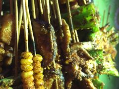 -张杨烤菜(渭南总店)