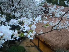 -中国茶叶博物馆(双峰馆区)