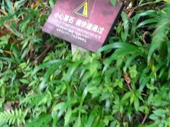 -红峡谷
