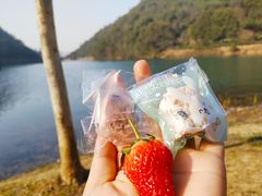 -桃花岭景区