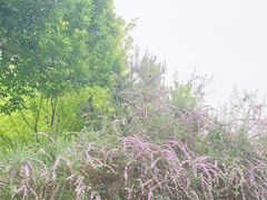 -北极寺公园