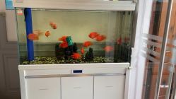 -非常六加一儿童摄影(同安店)