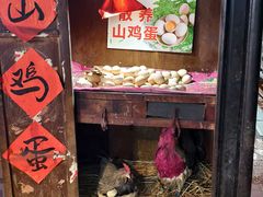-即墨老公社·海肠捞饭大王(古城店)