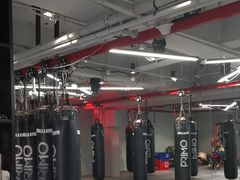 -花环泰拳·勒德斯拉泰拳馆(静安店)