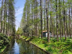 -东平国家森林公园