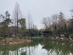 -瀛洲公园
