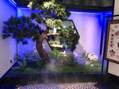 -绿茶餐厅(成都大悦城店)