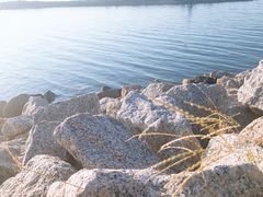 -贝林大翅鲸简餐厅(国家海洋博物馆店)