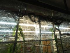 -荔城生鲜盛宴(番禺旗舰店)