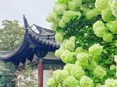 -常熟方塔园