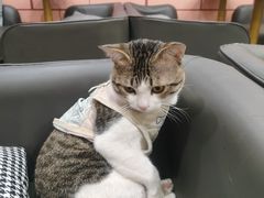 -谜盒子奇幻密室(南屏店)