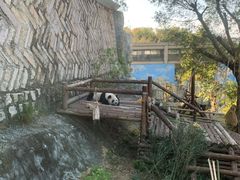 -泉州海丝野生动物世界