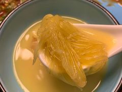 金龙佛跳墙锅-金龙·打边炉(武进路店)