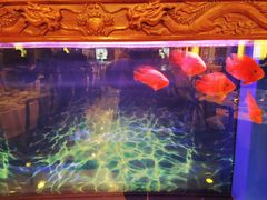 -上海老饭店(北京分店)