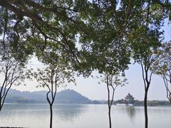-顺峰山公园