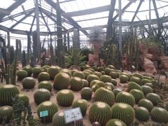 -华南国家植物园-售票处