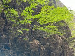 -野三坡百里峡景区