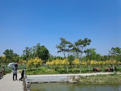 -天津东丽湖风景区