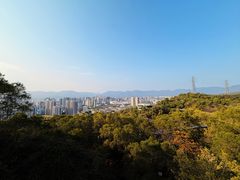 -金鸡山公园