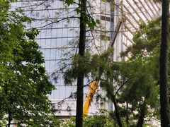 -静安公园(静安寺街道)