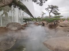 -罗红摄影艺术馆