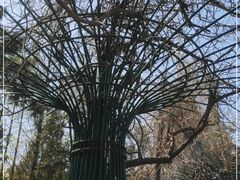 -大连植物园