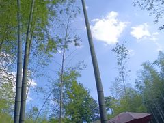 -陶祖圣境风景区