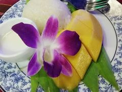 -卷心菜和避孕套餐厅(Pattaya)
