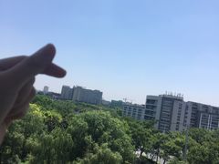 -麦当劳(曲阳店)