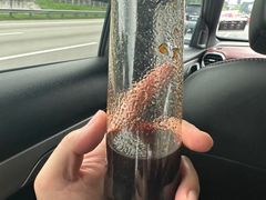 -罗汉果龙眼冰糖燉冬瓜