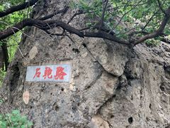 -阳台山自然风景区