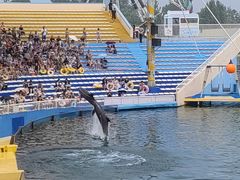 -秦皇岛乐岛海洋王国