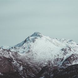 -薇兰专业脱毛连锁机构