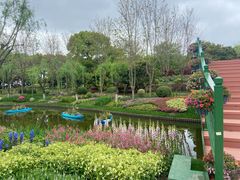 -上海鲜花港