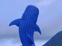 -珠海长隆海洋王国
