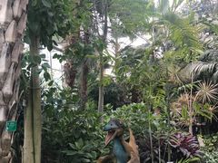-北京植物园-展览温室