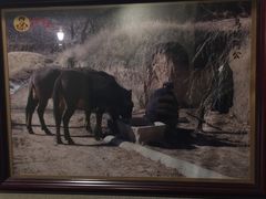 -云山灶.现炒云南菜(云大店)