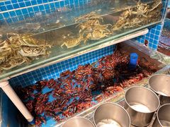 -星伦多自助料理(花山金鹰店)