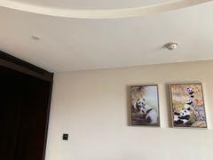 -成都保利公园皇冠假日酒店(熊猫基地店)