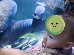 -左海海底世界