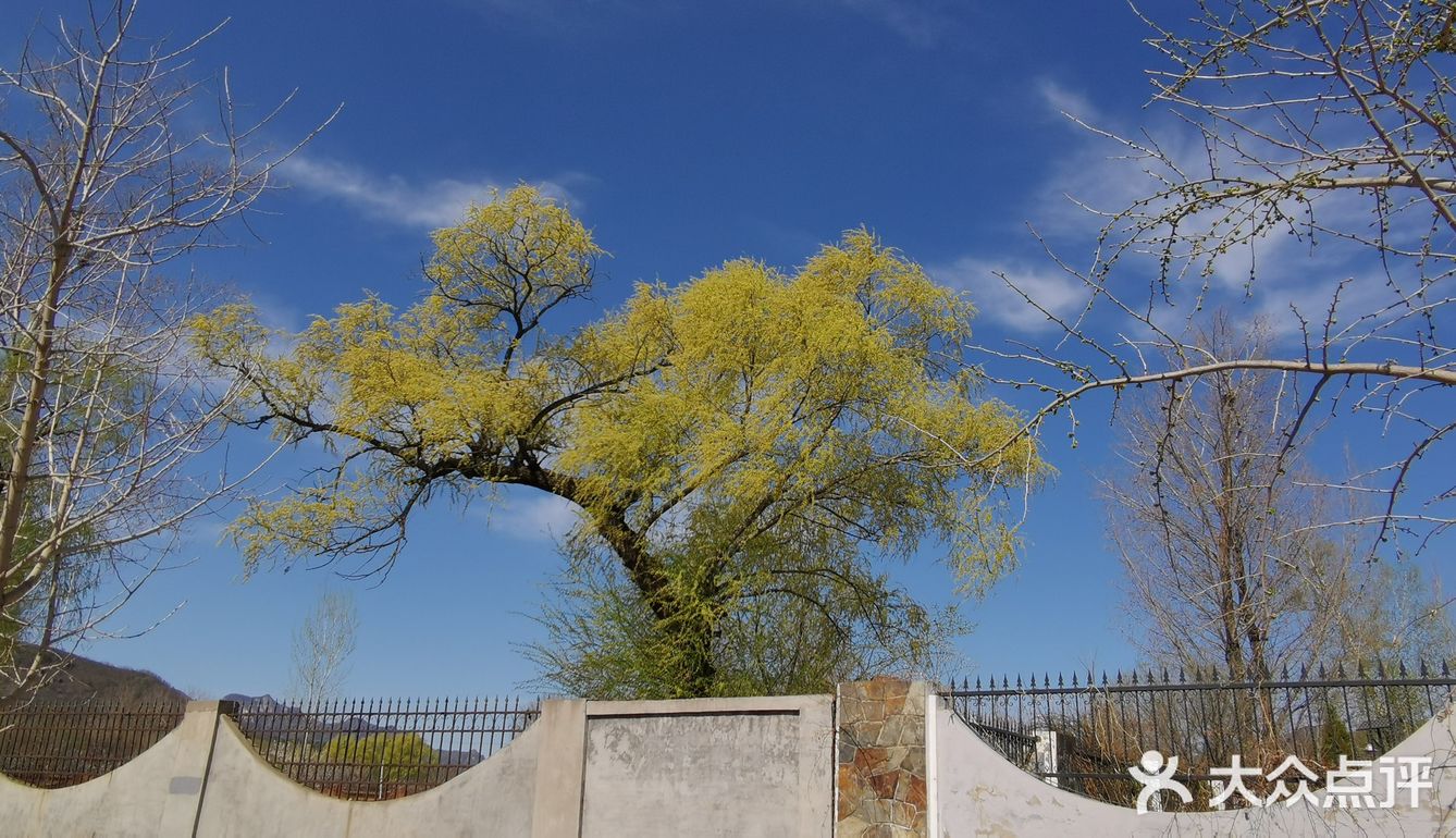 春天最美京郊之一怀柔北宅村