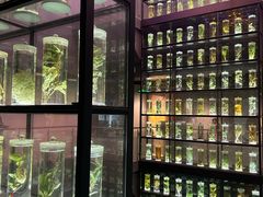 -广东中医药博物馆
